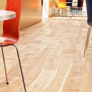 Bolefloor Chêne naturel avec aubier sans finition parquet Bois / Dérivé du bois Bois: Parquet Fibres de bois: sols parquet Sols en bois