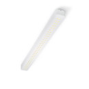 Trizo21 By-O 60 DME Ceiling-mounted lights LED-lights Linear lights Office lights