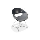 Kusch+Co 8262/3 Volpino