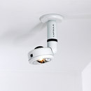 Capsule Superficie B.LUX