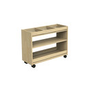 Trolley V120 Kuopion Woodi