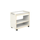 Trolley V123 Kuopion Woodi