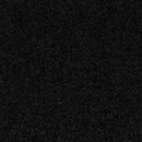 Lain 0009 Carpet Concept