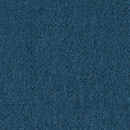 Lain 0012 Carpet Concept