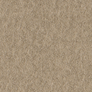 Lain 0045 Carpet Concept
