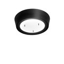 Blond Belysning Cymbal ceiling Ceiling-mounted lights LED-lights