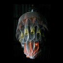 Willowlamp Mandala Study No.1