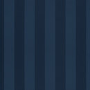 Zimmer + Rohde Solice Stripe 558 Decorative fabrics