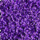 OBJECT CARPET Glory 1503 Bespoke floors Carpets / Rugs Outdoor chairs
