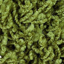 OBJECT CARPET Poodle 1401 Moquette / Tappeti Sedute per esterno