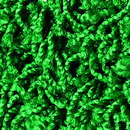 OBJECT CARPET Poodle 1494 Moquette / Tappeti Sedute per esterno