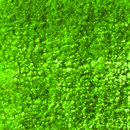 OBJECT CARPET Pure Silk 2510 Bespoke floors Carpets / Rugs Outdoor chairs