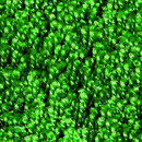 OBJECT CARPET Shiny 2508 Bespoke floors Carpets / Rugs Outdoor chairs