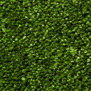 Silky Seal 1227 OBJECT CARPET