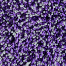 OBJECT CARPET Splash 1303 Bespoke floors Carpets / Rugs Outdoor chairs