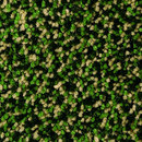 OBJECT CARPET Splash 1307 Bespoke floors Carpets / Rugs Outdoor chairs