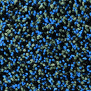 OBJECT CARPET Splash 1309 Bespoke floors Carpets / Rugs Outdoor chairs