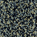 OBJECT CARPET Splash 1313 Bespoke floors Carpets / Rugs Outdoor chairs