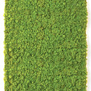 Verde Profilo Moss Wall