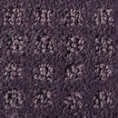 Squadra 1061 OBJECT CARPET