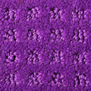 Squadra 1062 OBJECT CARPET