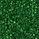 Step In 1302 OBJECT CARPET
