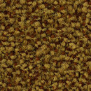 Step In 1305 OBJECT CARPET