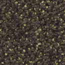 Step In 1306 OBJECT CARPET