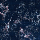 Jan Kath Quartz Black Moquetas / Alfombras