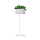 Systemtronic Green light M