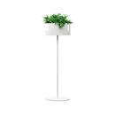 Systemtronic Green light L