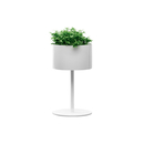 Systemtronic Green light S Accessori per abitazioni / uffici Piccoli mobili / Complementi