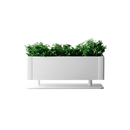 Systemtronic Green light Accessori per abitazioni / uffici Piccoli mobili / Complementi