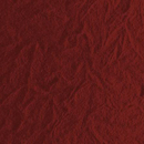 Ydol KIM | Color 12 Panneaux muraux