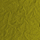 Ydol KIM | Color 27 Wall panels