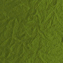 Ydol KIM | Color 28 Wall panels