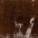 Golran Decolorized brown Carpets / Rugs