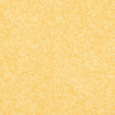 Appiani Floor Betulla Ceramic Ceramic flooring Ceramics/clay: floor tiles Floor tiles