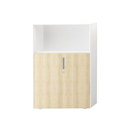 Nurus Fe2 H120 L80 Cabinet Storage / Filing