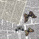 Ceramica Bardelli Ultime Notizie Bodenfliesen Keramik Keramik/Ton: Bodenfliesen Keramik/Ton: Wandfliesen Keramikböden Wandfliesen