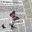 Ceramica Bardelli Ultime Notizie Bodenfliesen Keramik Keramik/Ton: Bodenfliesen Keramik/Ton: Wandfliesen Keramikböden Wandfliesen