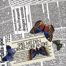 Ceramica Bardelli Ultime Notizie Bodenfliesen Keramik Keramik/Ton: Bodenfliesen Keramik/Ton: Wandfliesen Keramikböden Wandfliesen