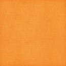 Ceramica Bardelli Colorado C2 Ceramic Ceramic flooring Ceramics/clay: floor tiles Floor tiles