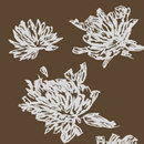 Agena Ninfea Wallpaper Wallcoverings / Wallpaper