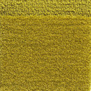 Classic Lime 3001 Kasthall