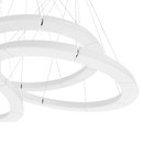 martinelli luce Circular Pol XXL