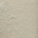 Agena Polo Wallpaper Wallcoverings / Wallpaper
