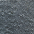 Agena Polo Wallpaper Wallcoverings / Wallpaper