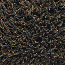 Fogg Chocolate Brown 770 Kasthall
