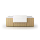 Holzmedia B8 Projection sideboard AV furniture Storage / Filing